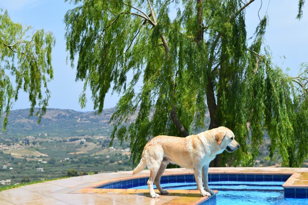 Aspalathos Villas Filippos Bagian luar foto